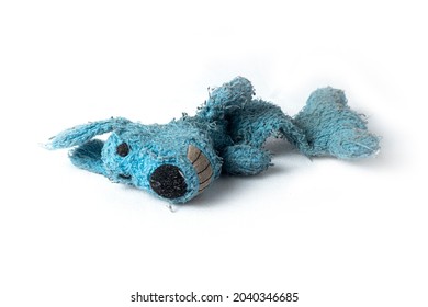 Plush Puppy, Used And Broken Dog Toy