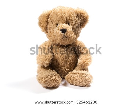 Plush teddy bear on white background