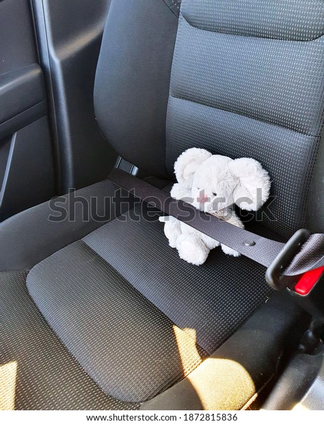 plush toy mouse\
gray, fastened with a seat belt on the passenger seat in the car.\
safety during motor\
transport