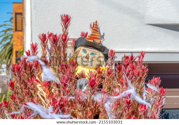 Plush witch doll at the back\
of a plant with red leaves and fake web decor at San Francisco,\
CA