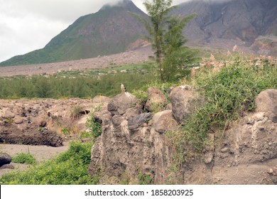 Plymouth, Montserrat, Abandoned After A Volcanic Eruption