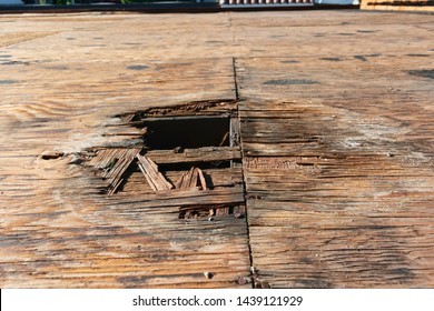 Plywood decking damage and water stains from rain water standing, leaking on roof sheathing near downspout hole. Flat roof inspection, repair and replacement project in progress. - Shutterstock ID 1439121929