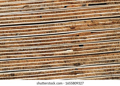 Plywood Layer: Cross Section Seven-Ply Piled Plywood Boards - Macro