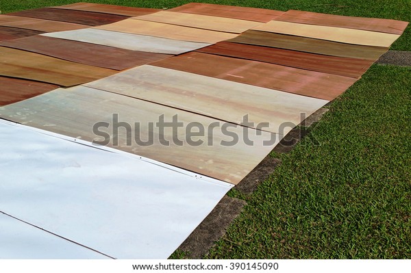 Plywood Made By Gluing Together Thin Stock Photo Edit Now 390145090