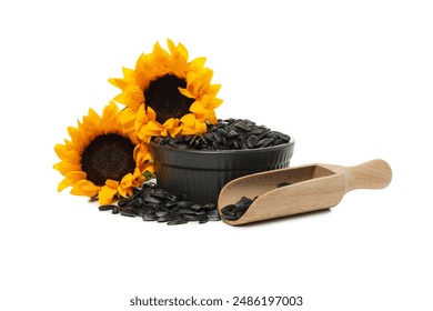 PNG, Sunflower seeds, isolated on white background