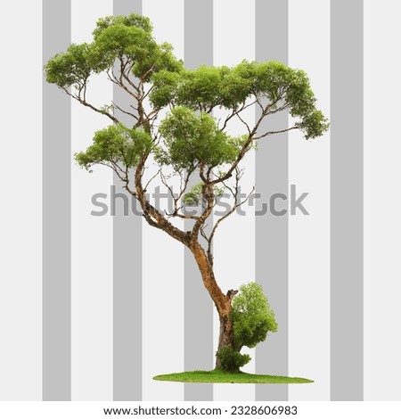 PNG Tree photo 4K Regulation 