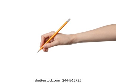 PNG,a female hand holds a pencil, isolated on white background - Powered by Shutterstock