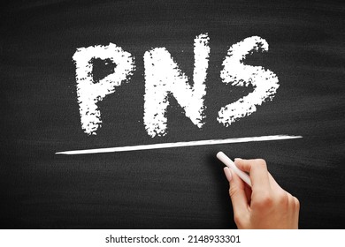PNS Peripheral Nervous System - Responsible For Relaying Information Between Your Body And Brain, Acronym Text On Blackboard