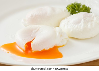 Poached Egg