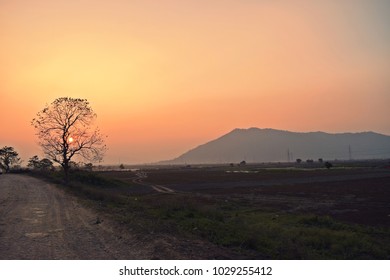 Pobitora Wildlife Sanctuary