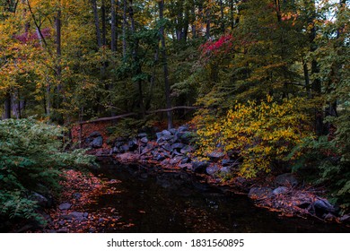 Pocantico River In Rockefeller State Park In Autumn