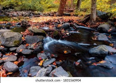 Pocantico River Running Through Rockefeller State Park