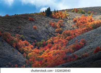 Pocatello In Idaho During Some Cool Autumn