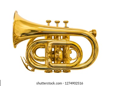 pocket trumpet isolated on white  - Shutterstock ID 1274902516