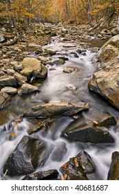 Pocket Wilderness - Dayton, TN.