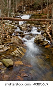 Pocket Wilderness In Dayton, TN.