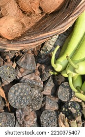 Pod Of Dried Lotus Flower Containing Fox Seeds Or Lotus Seeds During Ashtami(name) Hindu Festival. Seeds Have High Nutrient Value,  Eaten After Removing Brown Cover. The White Fruit Inside  Roasted. 