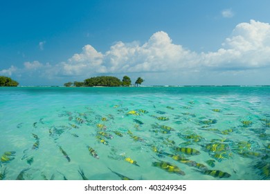 Poda Beach In Krabi Thailand