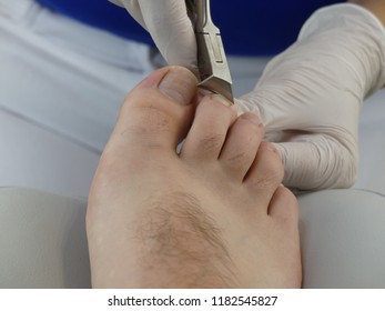 podiatrist podiatry podologia podologe foot care