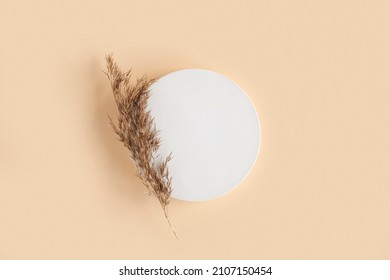 Podium for cosmetic product presentation. Abstract minimal geometrical form. Cylinder podium with dry pampas grass, soft shadow. Scene to show products. Showcase, display case. Flat lay, top view.
