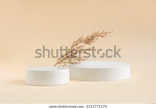 Podium for cosmetic product presentation. Abstract\
minimal geometrical form. Cylinder podium sphere, two forms, soft\
shadow. Scene to show products. Showcase, display case. Dry pampas\
grass. Side view