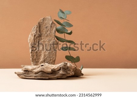 Podium for exhibitions and product presentations material stone, eucalyptus branch. Beautiful beige background made of natural materials. Abstract nature scene with composition Product presentation.