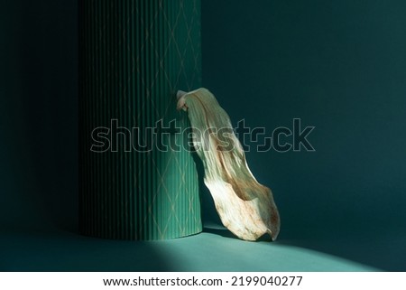 Podium natural wood material on a natural dry autumn leaf in the shade of a green background. Beauty cosmetic wooden display. Layout for exhibitions, products, cosmetics, health