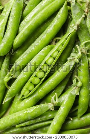 Pods of green peas with water drops. Fresh food background