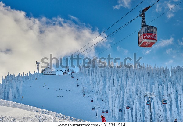Poiana\
Brasov, Romania -‎22 ‎gennaio 2019:Red cable car in a ski resort,\
Skiers and snowboarders enjoy the ski slopes in winter resort whit\
forest covered in snow,Poiana\
Brasov,Romania