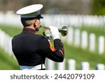 A poignant moment unfolds as a Marine plays taps, honoring a fallen veteran with a solemn salute, marking their internment at a national military cemetery.