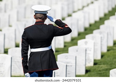 A poignant moment unfolds as a Marine plays taps, honoring a fallen veteran with a solemn salute, marking their internment at a national military cemetery. - Powered by Shutterstock