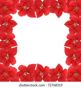 Poinsetta Flower Square Border Or Frame On A White Background For Scrapbooking