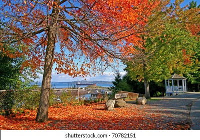 Point Defiance Park In Tacoma WA With Red And Orange Leafs