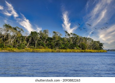 Point Of Land In Weltand Marsh In Coastal Georgia