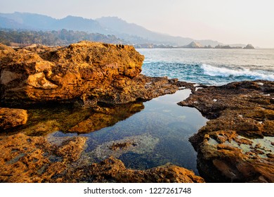 Point Lobos. California