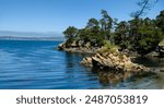 Point Lobos, California United States 