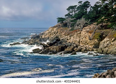 Point Lobos On Pacific Coast In California