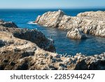 Point Lobos State Natural Reserve, California