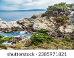 Point Lobos State Natural Reserve. Rocky beach, cypress forest and Pacific Ocean, California