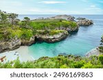 Point Lobos State Natural Reserve, Carmel, Monterey County, California, United States of America, North America