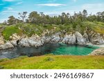 Point Lobos State Natural Reserve, Carmel, Monterey County, California, United States of America, North America