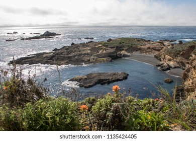 Point Lobos State Park California