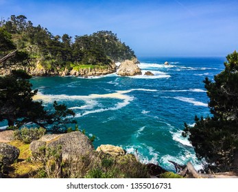 Point Lobos State Park, California, 2019