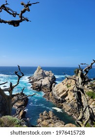 Point Lobos State Park Near Seven Mile Drive