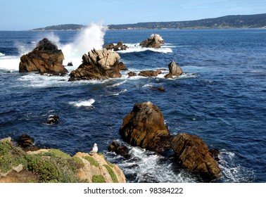 Point Lobos State Reserve, California Coast