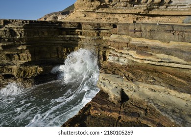 Point Loma Tide Pools California