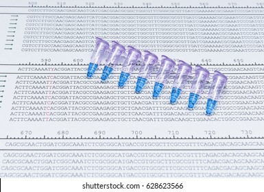 Point Mutation In DNA Gene