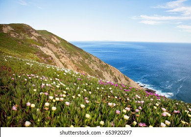 Point Reyes Coastline