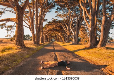 Point Reyes National Seashore cypress tunnel tree man laying down in the middle of the tree asphalt road sunset 