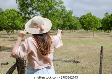 point a tree in the farm